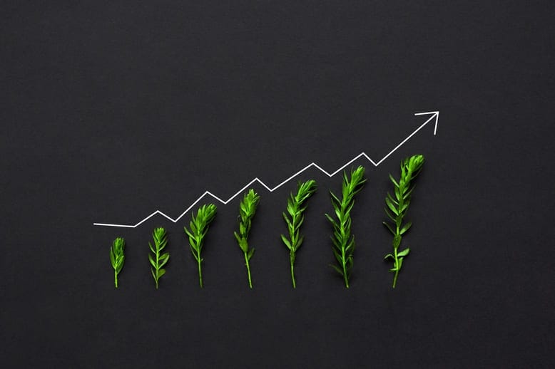 Gráfico de crescimento ascendente formado por plantas verdes sobre fundo escuro, representando crescimento sustentável com Marketing-Led Growth